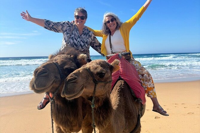 Luxury Private Tour of Tangier from Marbella All Inclusive - Entering the Casbah and the old city