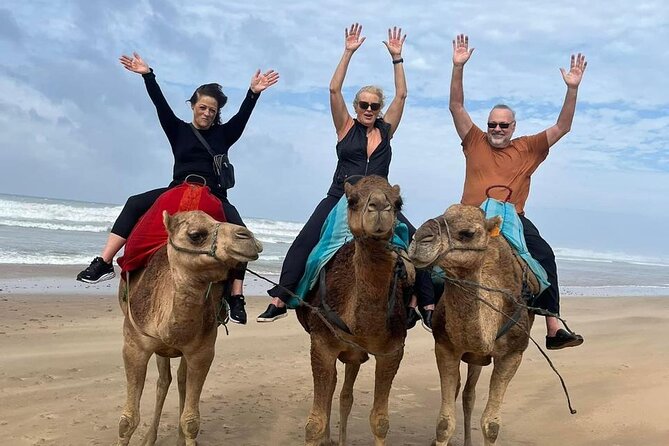 Luxury Tangier Private Day Tour from Marbella All inclusive - From Marbella to Tarifa before breakfast