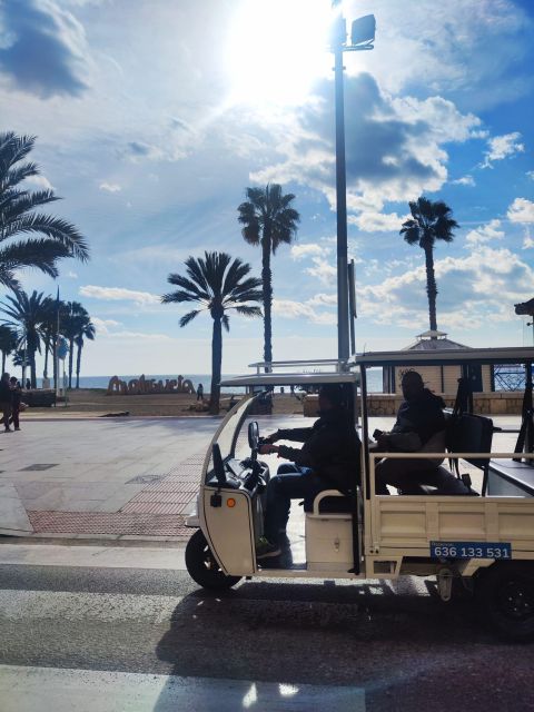 Málaga 1-hour by TukTuki: Essential and Private Tour - What the private format adds