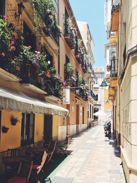 Málaga: 3-Hour Complete Walking Tour with Tickets - Who will get the most from this tour