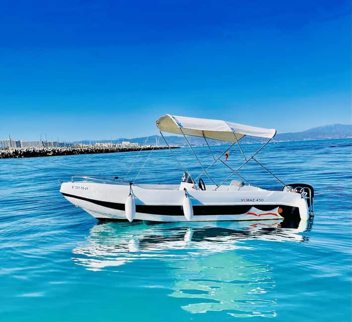 Malaga: 5-Seater Speedboat Boat Rental Without a License - Dolphins, swimming, and the sunset