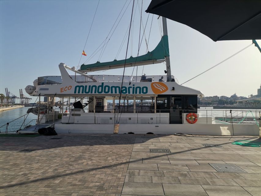 Malaga: A Sea of Stars Nighttime Stargazing Catamaran Tour - Finding stars from the open water