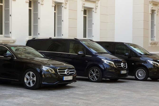 Malaga Airport (Costa del Sol) Private Arrival Transfer - Key points to know before booking