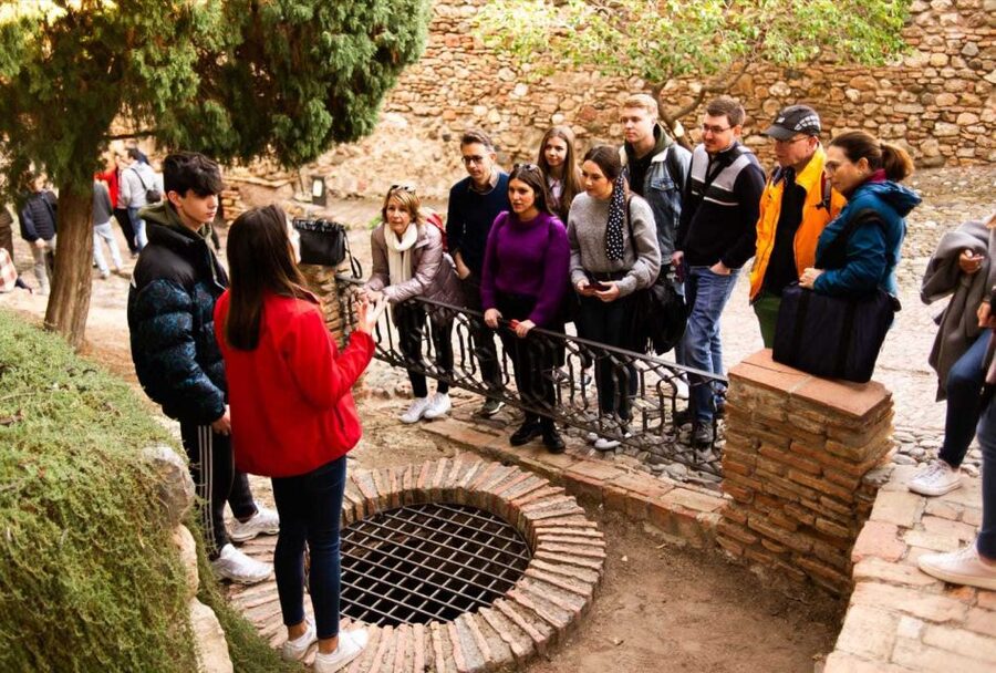 Málaga: Alcazaba and Roman Theatre Guided Tour With Entry - Why the fast-track entry matters