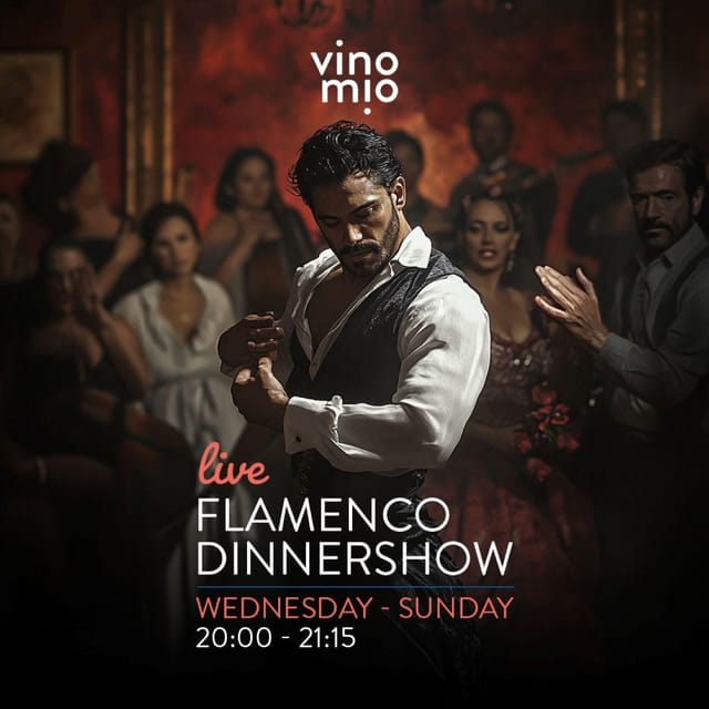 Malaga: Authentic Flamenco Dinner Show at Vino Mio - Why the natural acoustics matter