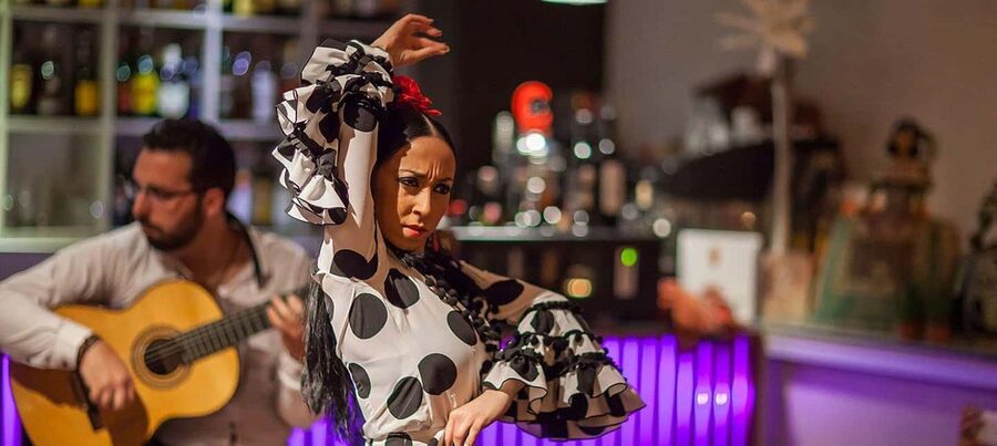 Malaga: Authentic Flamenco Dinner Show at Vino Mio - Is $17 good value for Malaga?