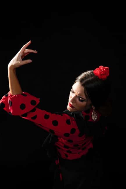 Malaga: Authentic Flamenco Dinner Show at Vino Mio - A one-hour program built around live flamenco
