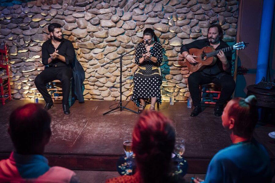 Malaga: Authentic Flamenco Show at El Gallo Ronco - Booking details that matter