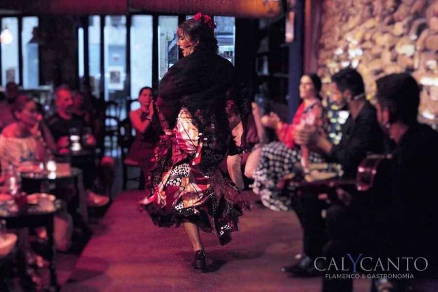 Malaga: Authentic Flamenco Show at El Gallo Ronco - What happens during the one-hour show