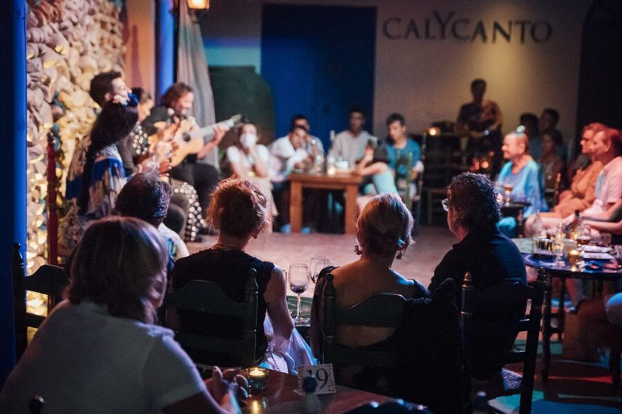Malaga: Authentic Flamenco Show at El Gallo Ronco - Is $27 good value for Malaga?