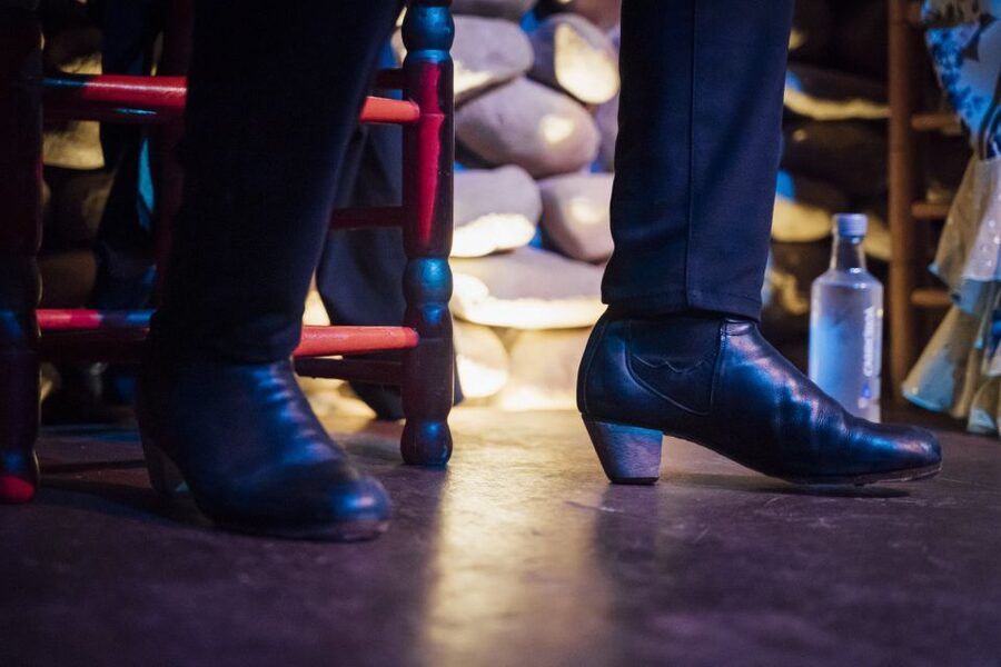 Malaga: Authentic Flamenco Show at El Gallo Ronco - Who should book this show?