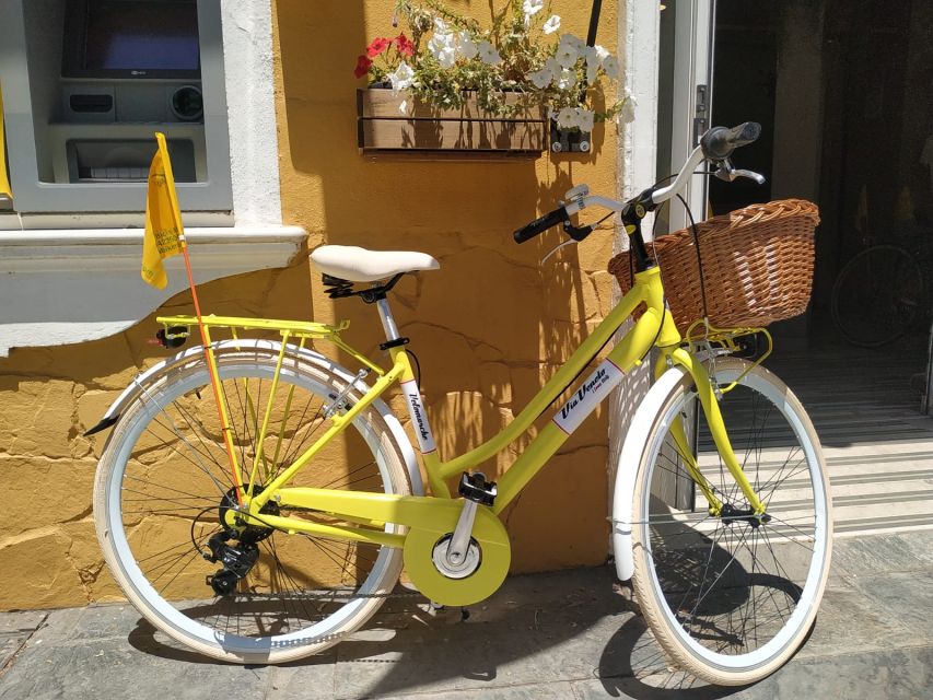 Malaga: Bike Rental for City Discovery Route & Beaches - The Guadalhorce river estuary option