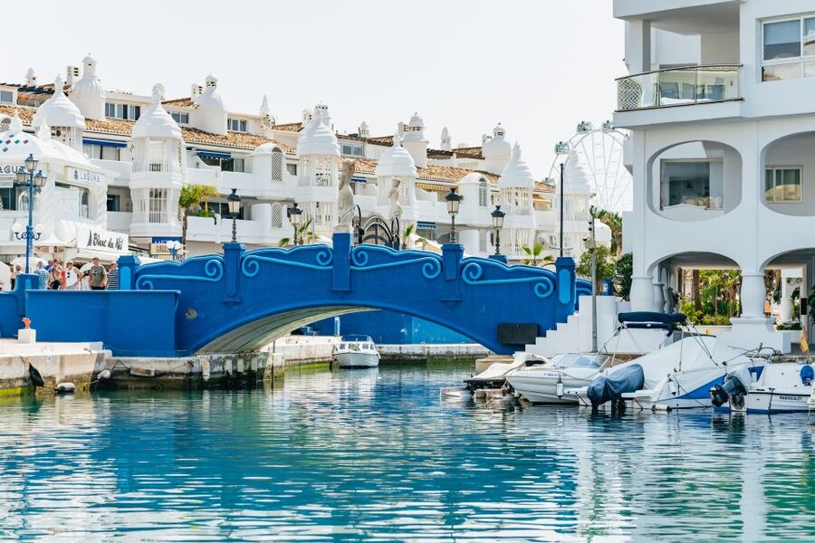 Malaga: Boat Rental without a License for Dolphin Watching - Who will enjoy this most