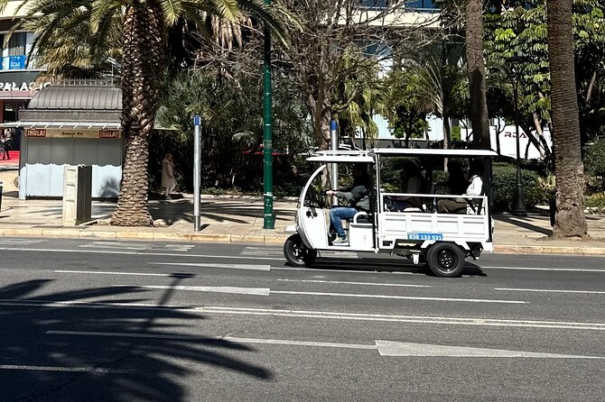 Malaga by Tuk Tuk i : 1 or 2 hours Private city tour - Starting at C. Vélez Málaga, 6