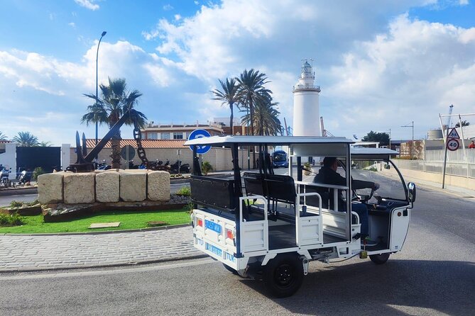 Malaga by Tuk Tuk i : 1 or 2 hours Private city tour - Malaga City Hall and the central city