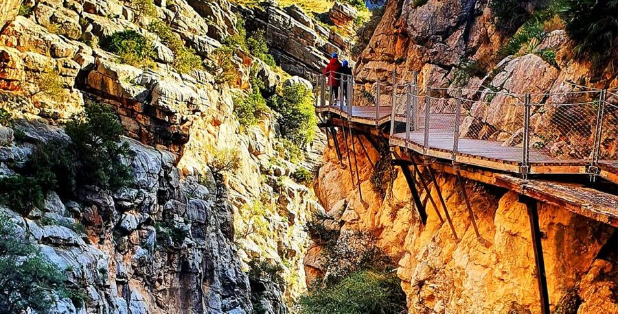 Málaga: Caminito del Rey Guided Tour with Transportation - The suspension bridge and the height question