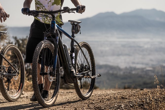 Malaga E-MTB Tour: Botanical Garden, Natural Park and Port of Malaga - From the Botanical Garden toward Limonero Lake