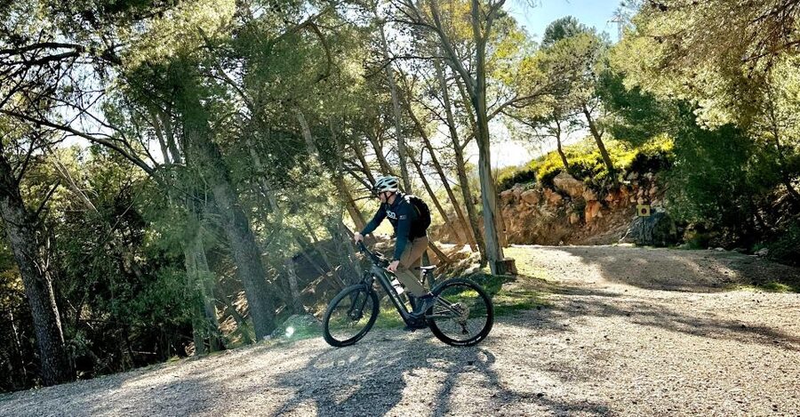 Málaga: "El Chorro" E-bike guided tour 2h (13km) - What the guide adds beyond the scenery
