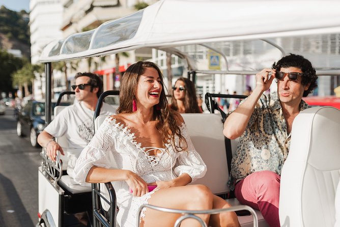 Malaga Expert Tour with Local Guide in Eco Tuk Tuk Private - Why this short Malaga tour works