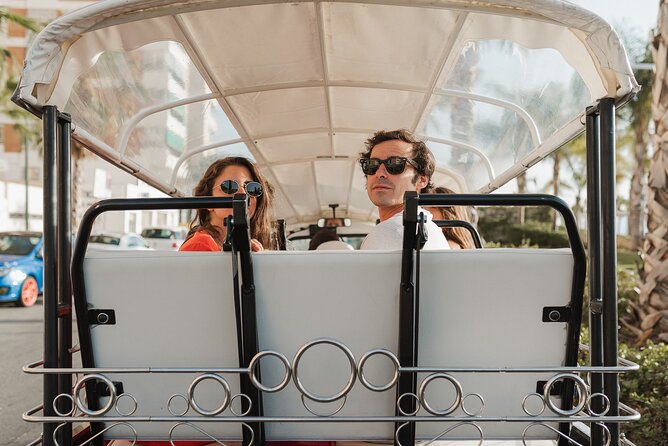 Malaga Expert Tour with Local Guide in Eco Tuk Tuk Private - Mirador del Gibralfaro and the best city view