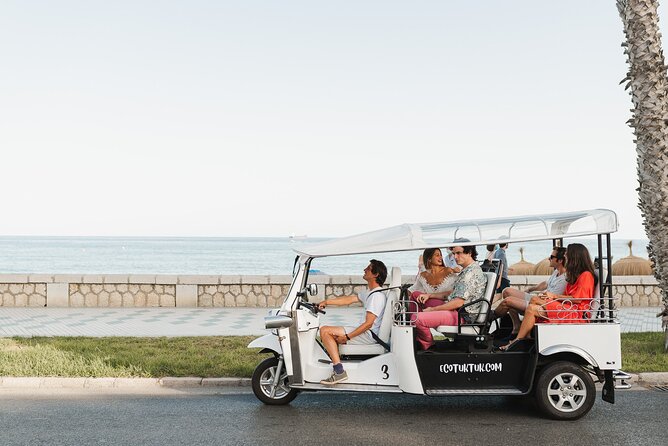 Malaga Express Tour with Local Guide in Eco Tuk Tuk Private - La Malagueta Beach and the eastern shore