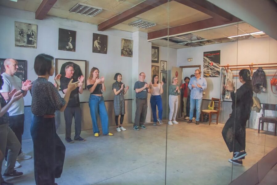 Málaga: Flamenco Class Experience - Working with a professional flamenco dancer