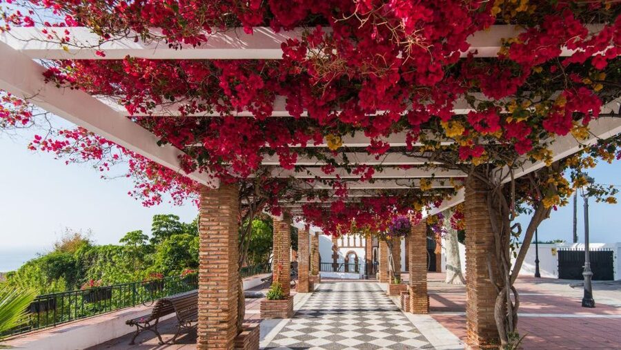 Malaga: Frigiliana & Nerja Tour with Local Product Tastings - Why this Costa del Sol day trip works