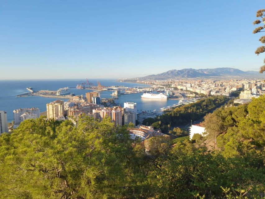 Malaga: Guided E-Bike Tour - Practical tips for a smoother ride