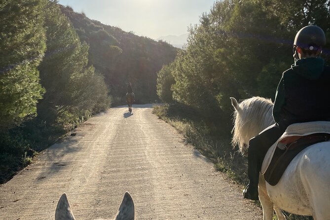 Malaga - guided horseback riding - Leaving Málaga for the El Roble stables