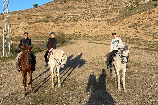 Malaga - guided horseback riding - Meeting the horses and choosing the right mount