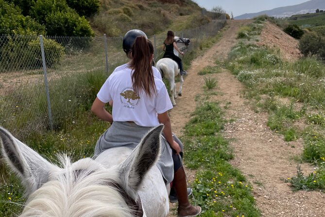 Malaga - guided horseback riding - Returning to the stable