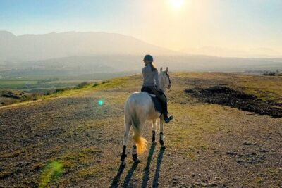 guided horseback riding