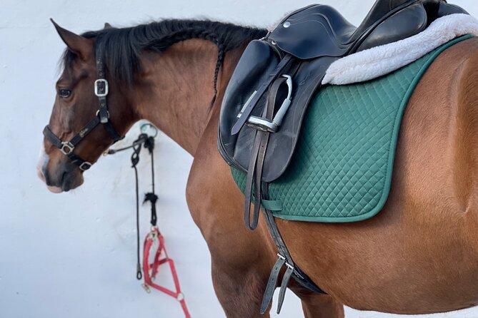 Malaga - guided horseback riding - Is $45.66 a fair price?