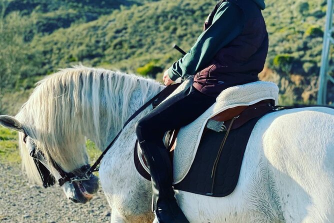 Malaga - guided horseback riding - Who will enjoy this ride most