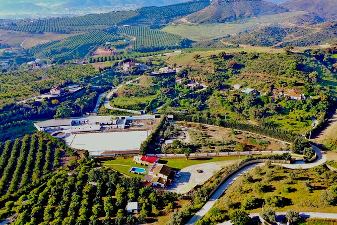Malaga - guided horseback riding - Weather, booking, and cancellation details