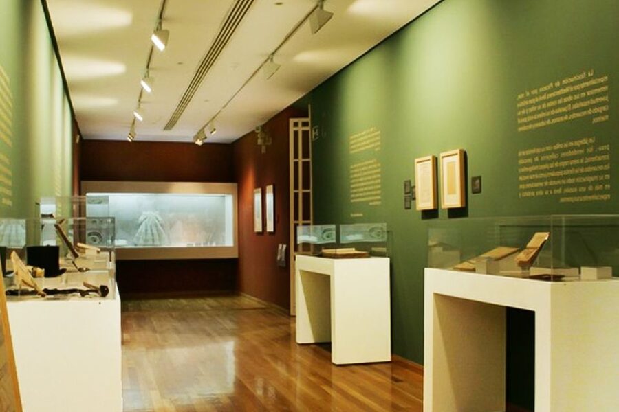 Malaga: Guided tour of Picasso's Birthplace Museum - The role of Picasso’s father