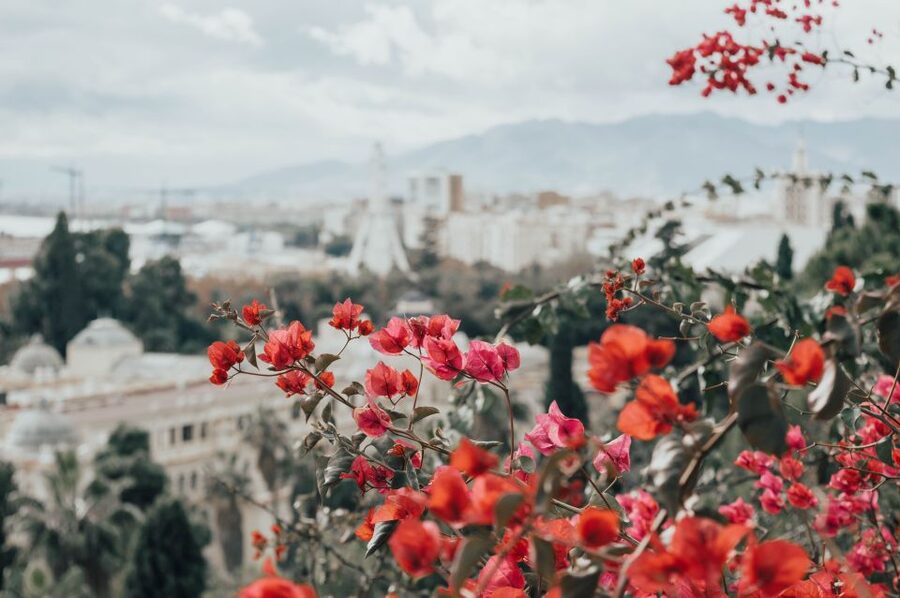 Málaga: Highlights, Old Town & Viewpoint Walking Tour - Paseo del Parque and the Gardens of the Dark Door