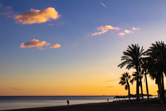 Malaga Highlights, Old Town & Viewpoints Walking Tour - What the guide adds to the walk