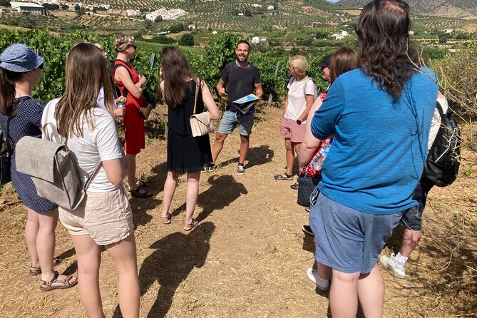 Malaga Organic Vineyard and Winery Six Wines Tapas and Transfer - Why this Malaga wine tour feels different