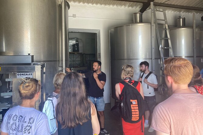 Malaga Organic Vineyard and Winery Six Wines Tapas and Transfer - The 30-minute ride from Plaza de la Marina