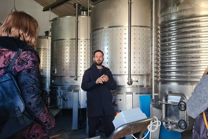 Malaga Organic Vineyard and Winery Six Wines Tapas and Transfer - Six wines, vermouth, and five carefully matched bites