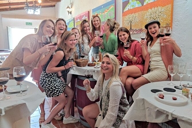 Malaga Organic Vineyard and Winery Six Wines Tapas and Transfer - What the wine selection may be like