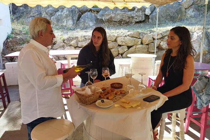 Malaga Organic Vineyard and Winery Six Wines Tapas and Transfer - Is $114.93 a fair price?