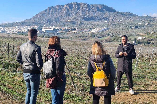 Malaga Organic Vineyard and Winery Six Wines Tapas and Transfer - Who should book this experience?