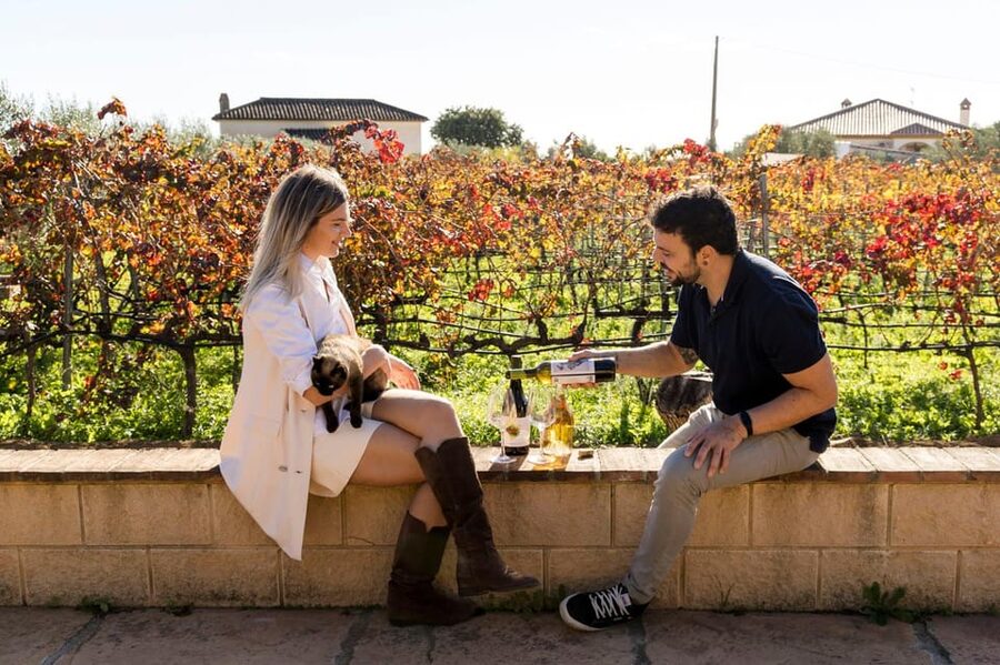 Malaga: Organic Vineyard Tour with 6 Wines, Tapas & Transfer - Key points to know before booking