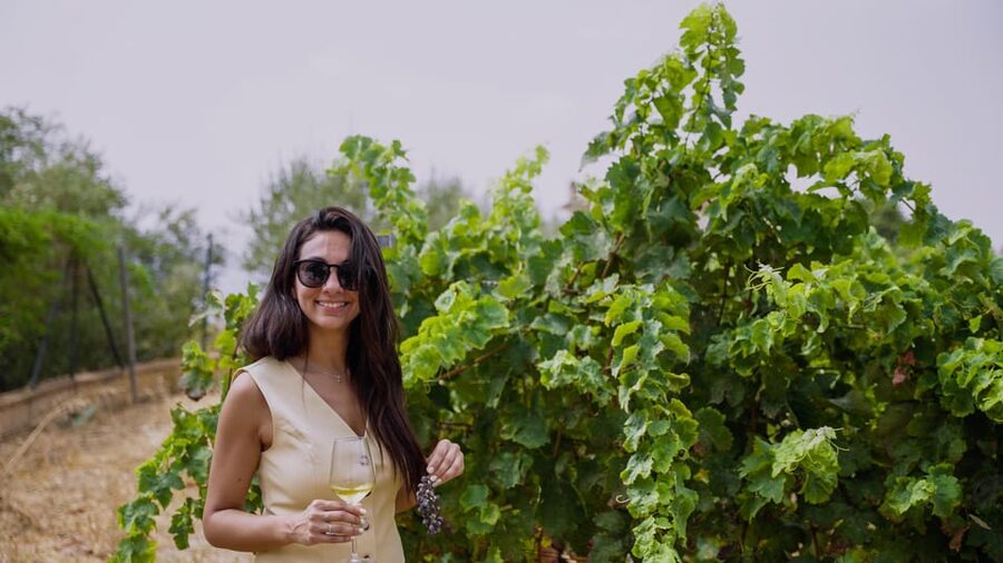 Malaga: Organic Vineyard Tour with 6 Wines, Tapas & Transfer - Why this Málaga wine tour feels different