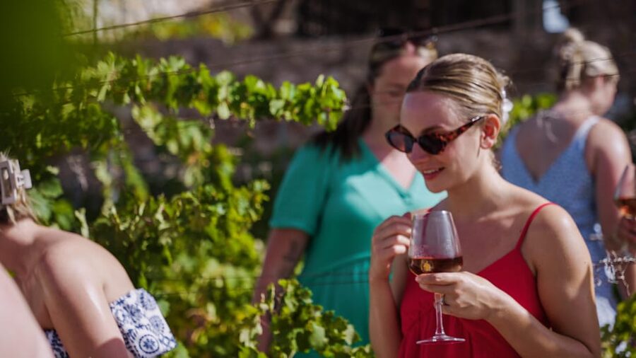 Malaga: Organic Vineyard Tour with 6 Wines, Tapas & Transfer - A short walk through Viñedo Malvajio