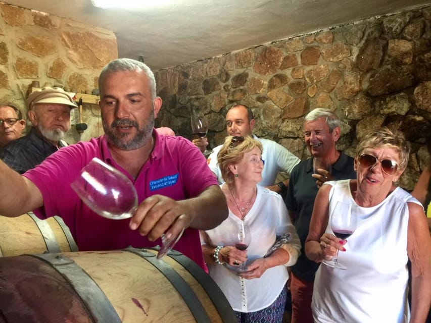Malaga: Organic Vineyard Tour with 6 Wines, Tapas & Transfer - Six wines and a table full of Andalusian food