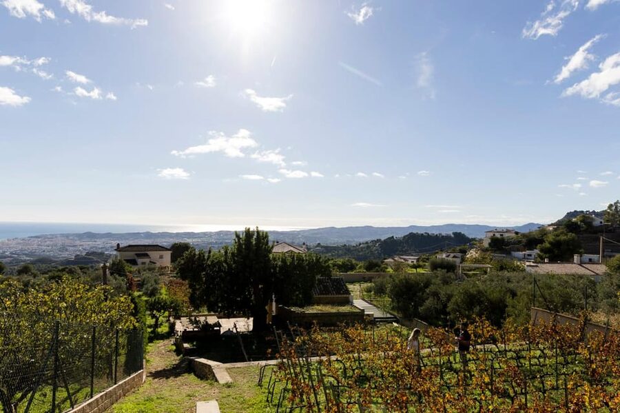 Malaga: Organic Vineyard Tour with 6 Wines, Tapas & Transfer - The guides make a real difference