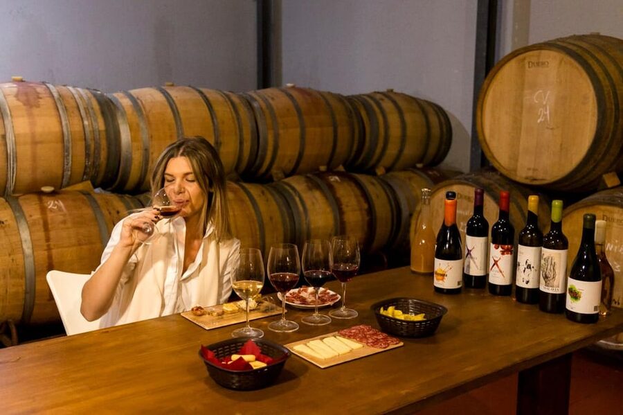 Malaga: Organic Vineyard Tour with 6 Wines, Tapas & Transfer - From Plaza de la Marina to the Andalusian hills